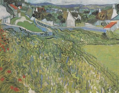 Vincent Van Gogh Vineyard with a View of Auvers (nn04)